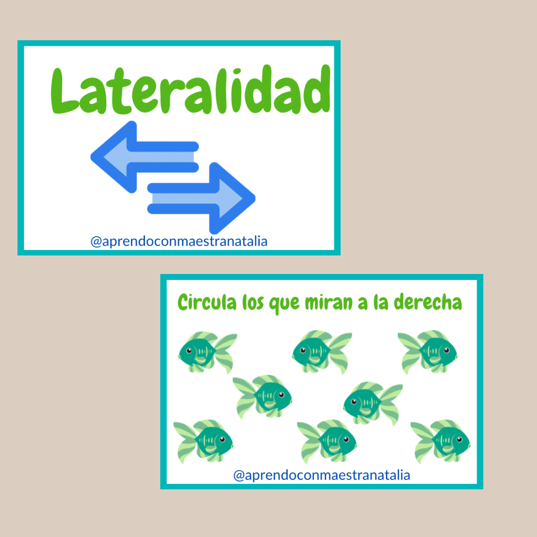 Lateralidad