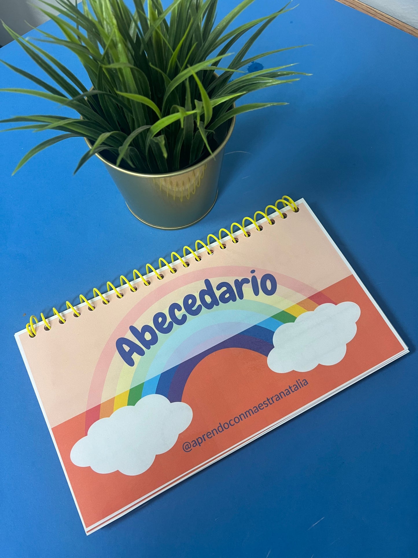 Mini cuaderno del abecedario