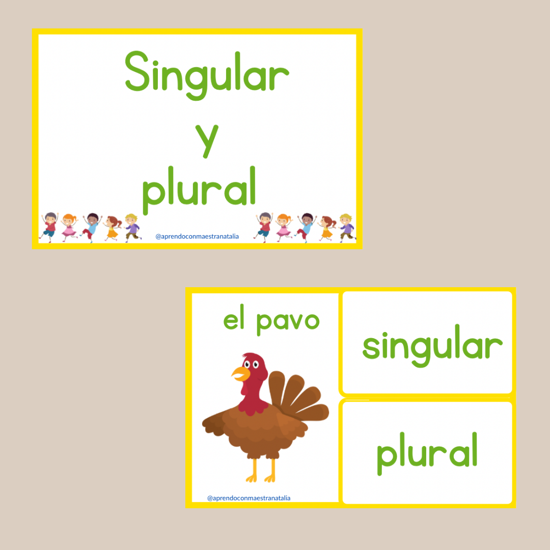 Singular y plural