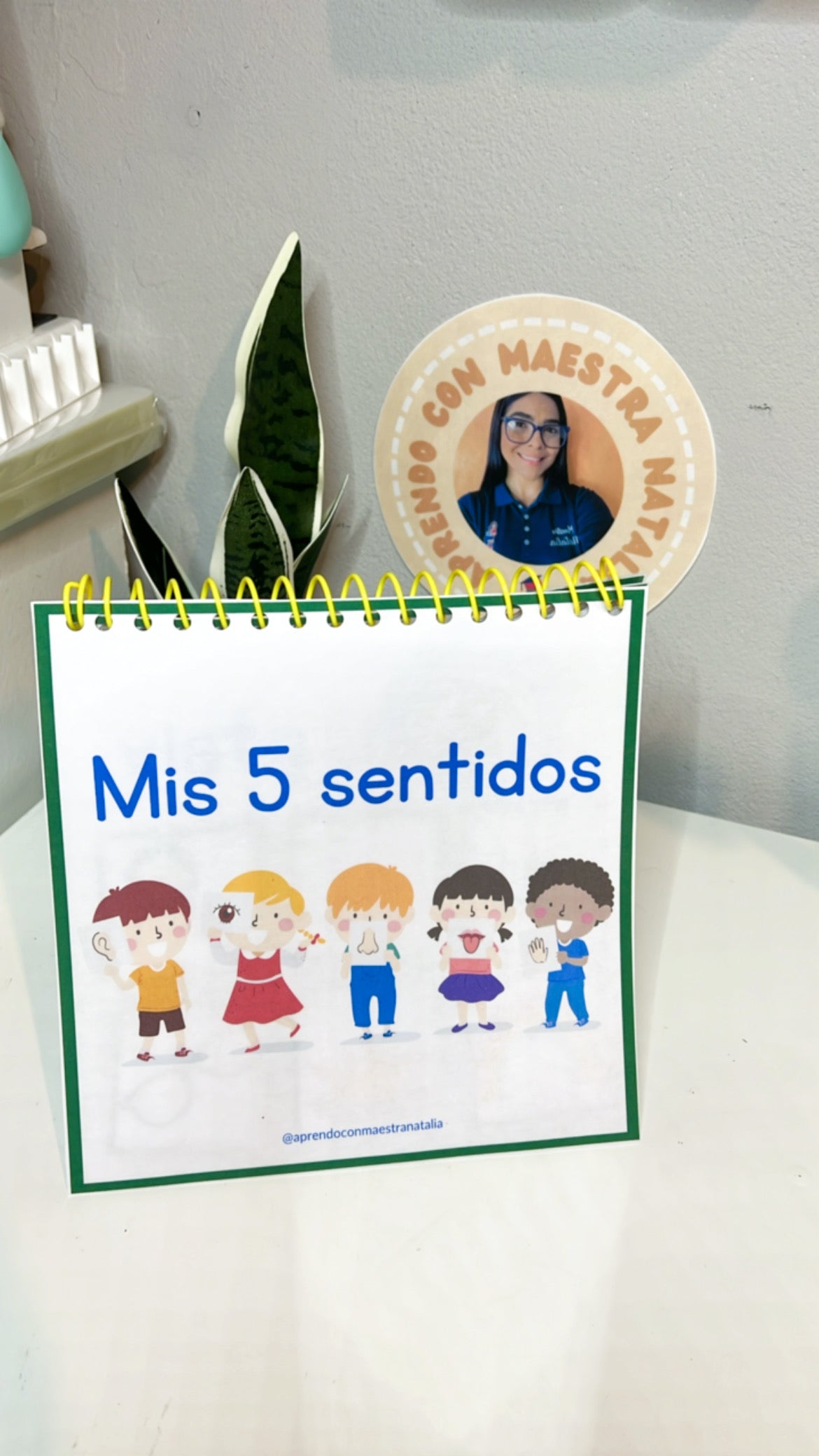 Mini de los 5 sentidos